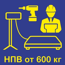 Установка и настройка весов с НПВ от 600 кг на рабочем месте заказчика в Тольятти